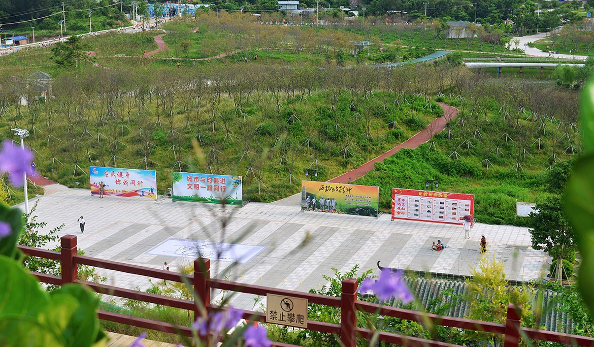 1592639686859438.jpg ZS201908070241.JPG